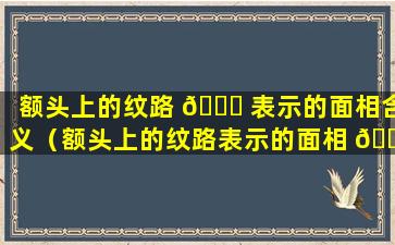 额头上的纹路 🍀 表示的面相含义（额头上的纹路表示的面相 🌳 含义是什么）